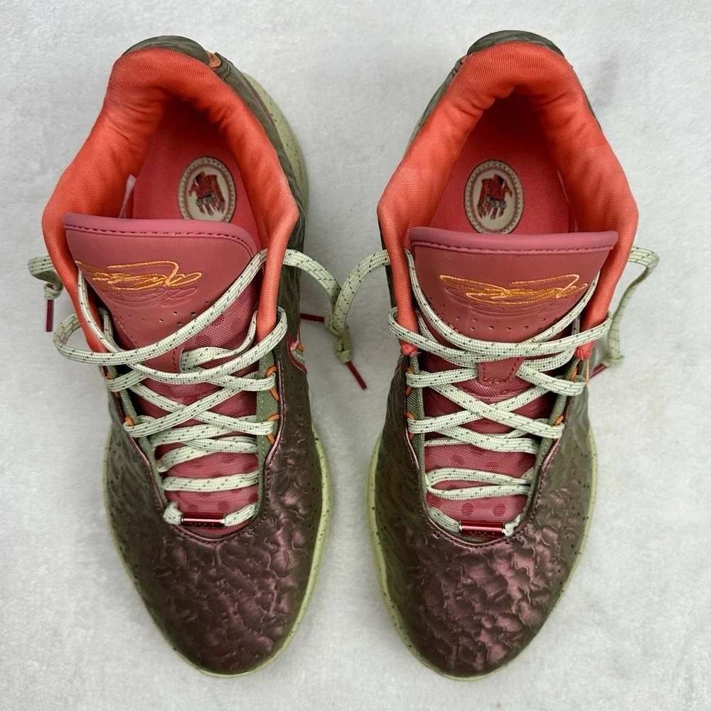 Nike LeBron‎ Witness 7 VII Basketball Shoes Bronze Eclipse Coral Sneakers